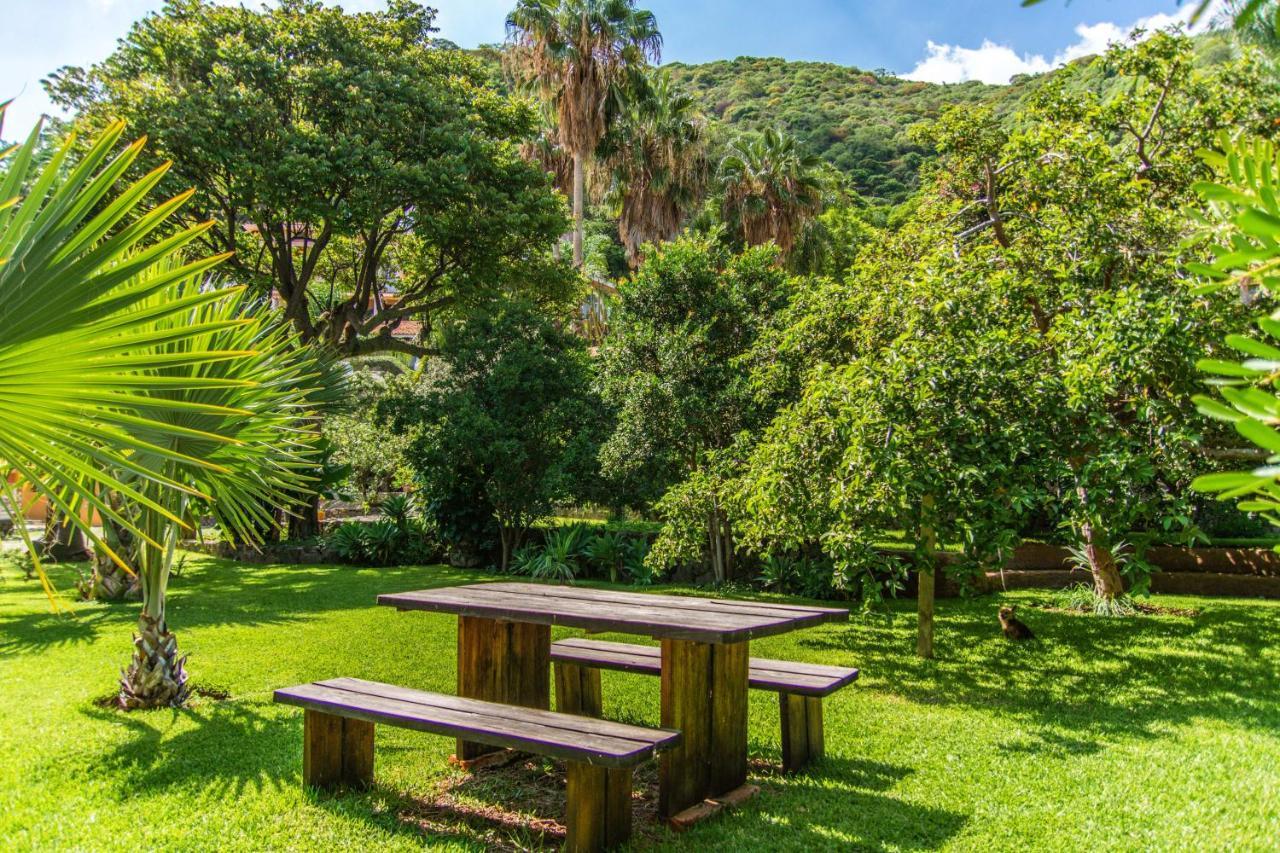 Casa Galeana- Tropical 1-Bd 1-Wc Mountain Top Luxury Suite With Stunning Views Ajijic Ngoại thất bức ảnh