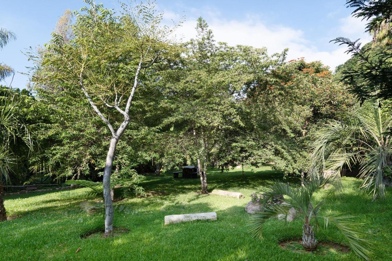 Casa Galeana- Tropical 1-Bd 1-Wc Mountain Top Luxury Suite With Stunning Views Ajijic Ngoại thất bức ảnh