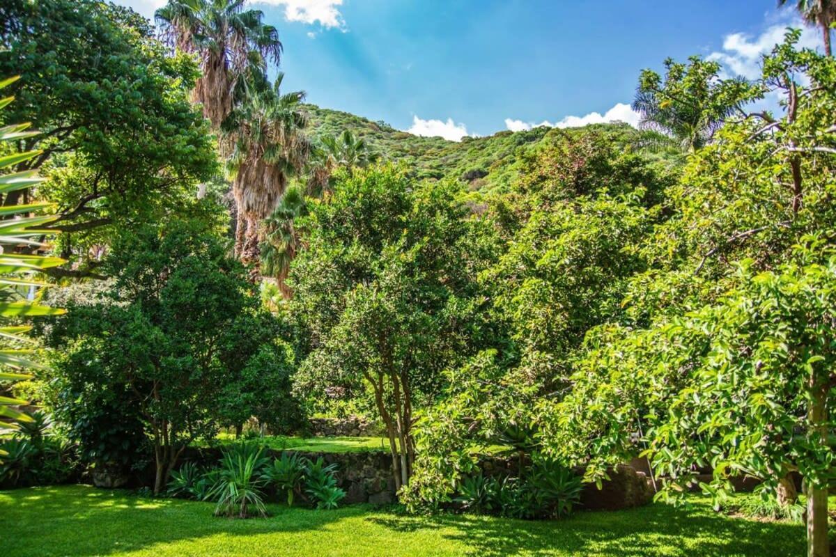 Casa Galeana- Tropical 1-Bd 1-Wc Mountain Top Luxury Suite With Stunning Views Ajijic Ngoại thất bức ảnh