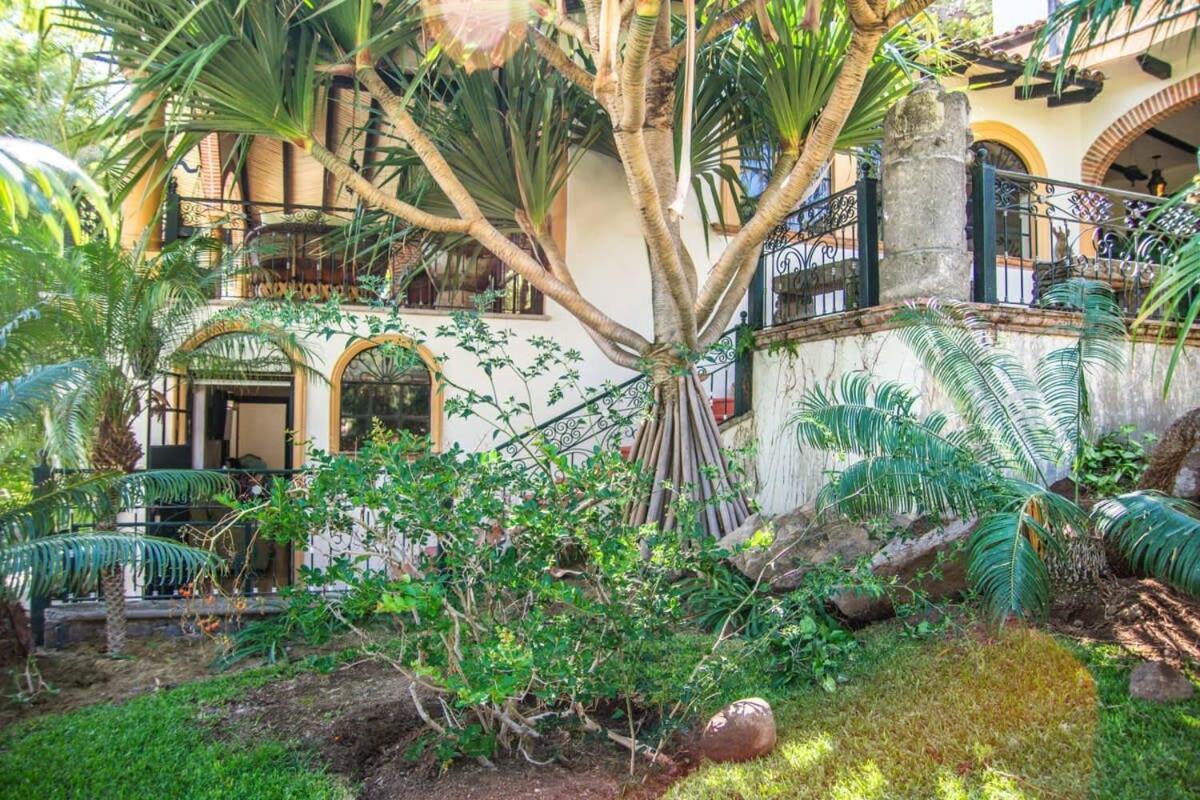 Casa Galeana- Tropical 1-Bd 1-Wc Mountain Top Luxury Suite With Stunning Views Ajijic Ngoại thất bức ảnh